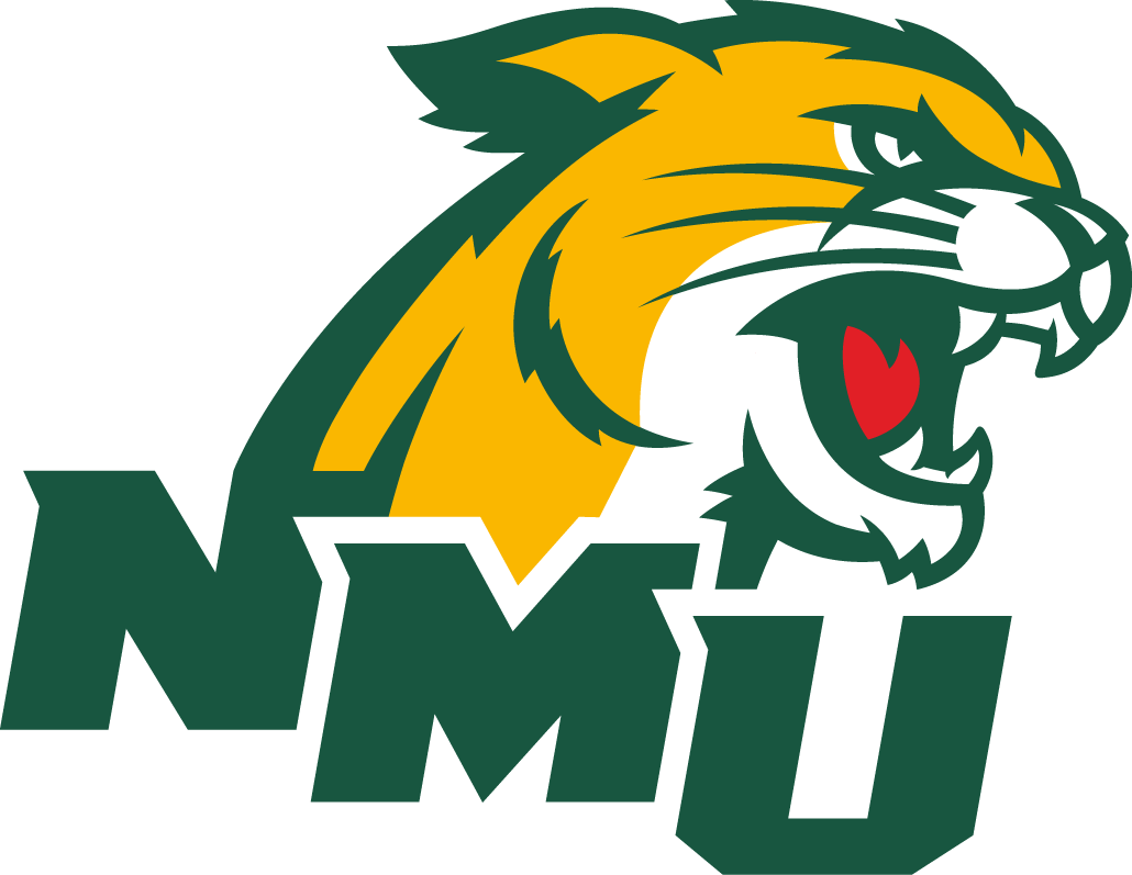 Northern Michigan Wildcats 2016-Pres Secondary Logo v2 diy DTF decal sticker